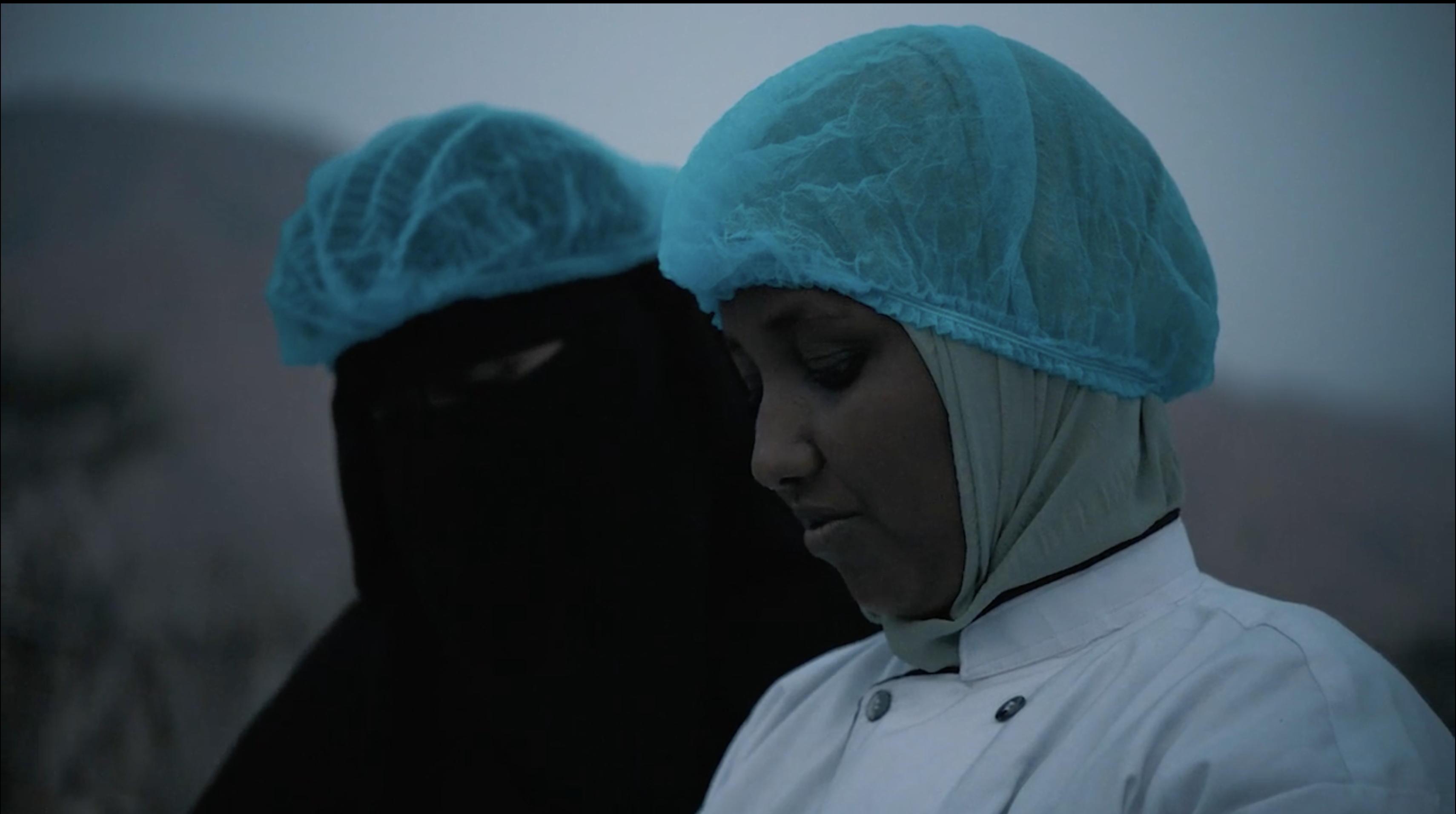 LES VISAGES DU PROGRÈS